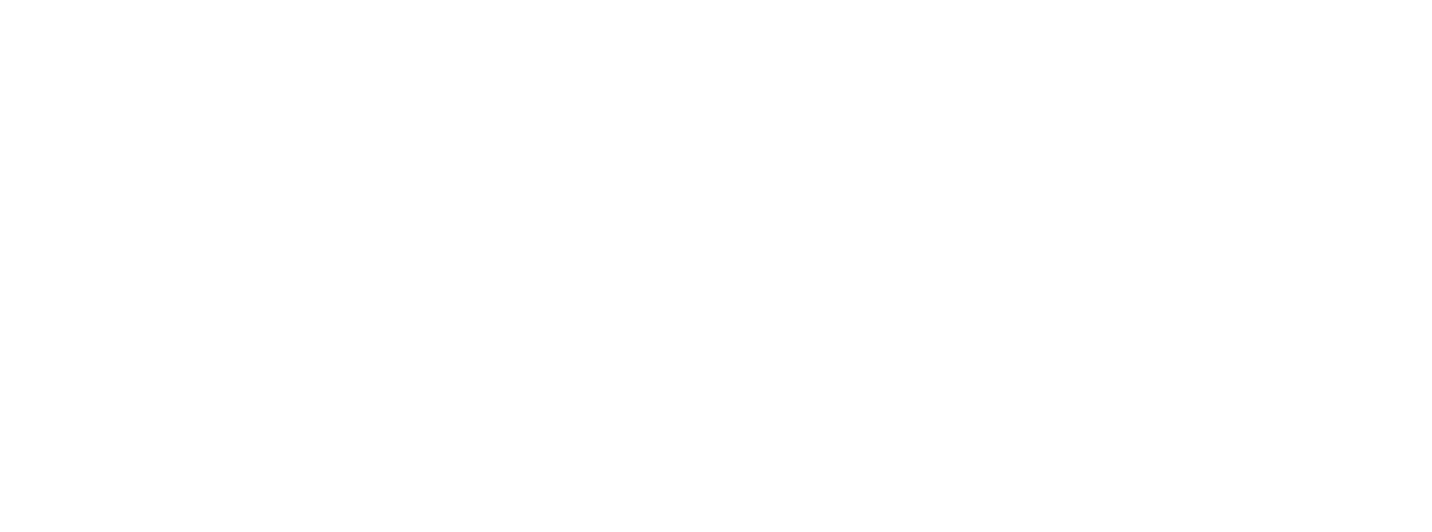 Le Faso Digital